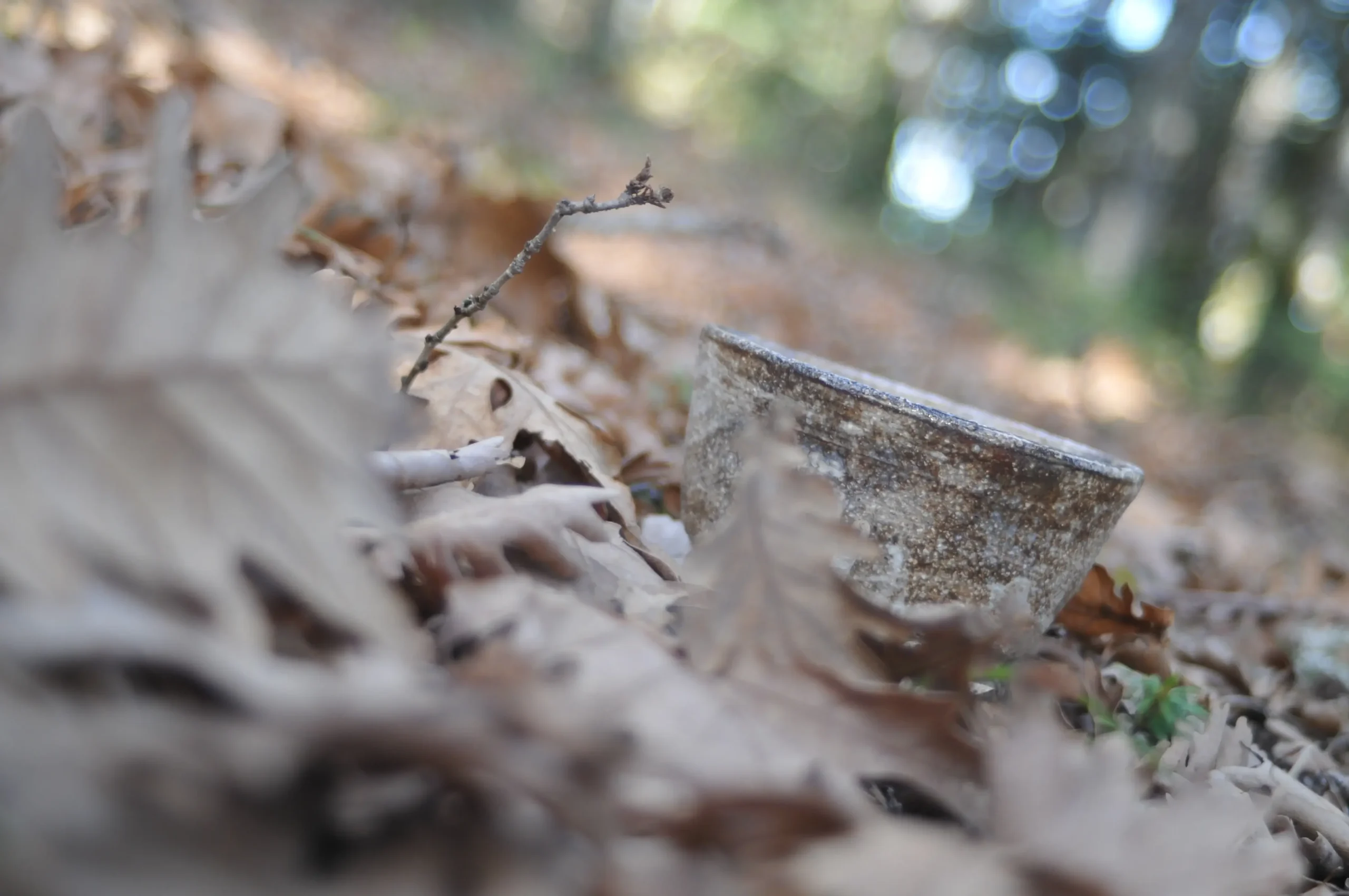 tea cup