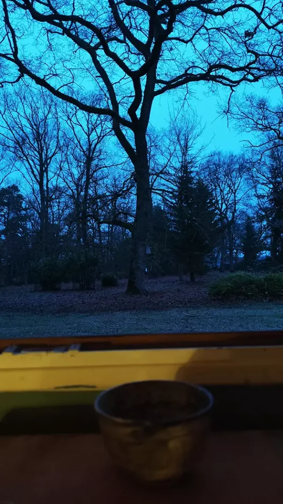 meditaton