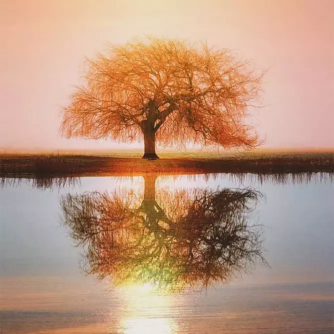 Honouring your presence feature image